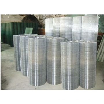 Electric Galvanized Welded Wire Mesh Yd-Wwm-Gal